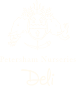Deli